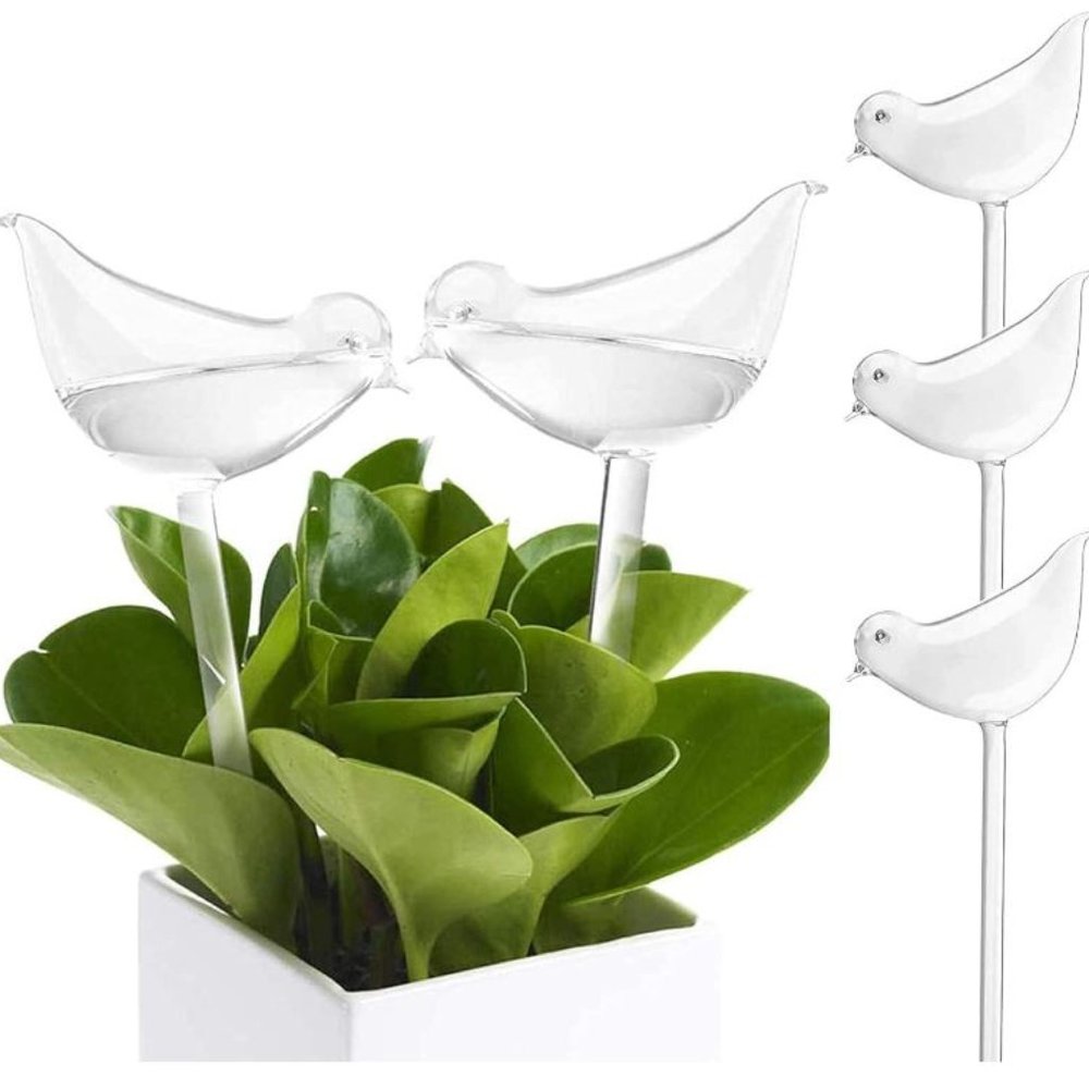 Tebery 3 Pack Plant Self Watering Globes